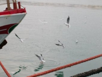 Le pi belle foto inviate dai nostri lettori!