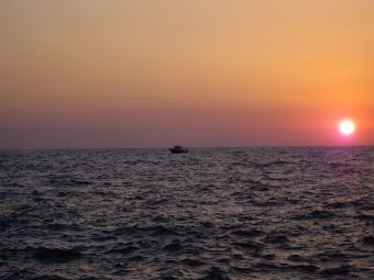 Le pi belle foto inviate dai nostri lettori!
